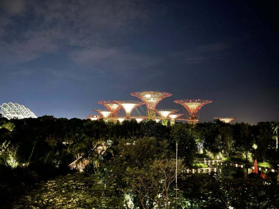 Vstup do zahrad Gardens by the Bay, Singapur.