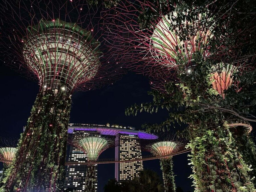 Noční Gardens by the Bay s hotelem Marina Bay Sands v pozadí, Singapur.