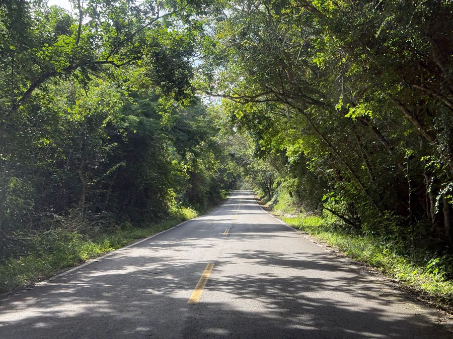 Calakmul – pyramida v biosférické rezervaci, Campeche, Mexiko