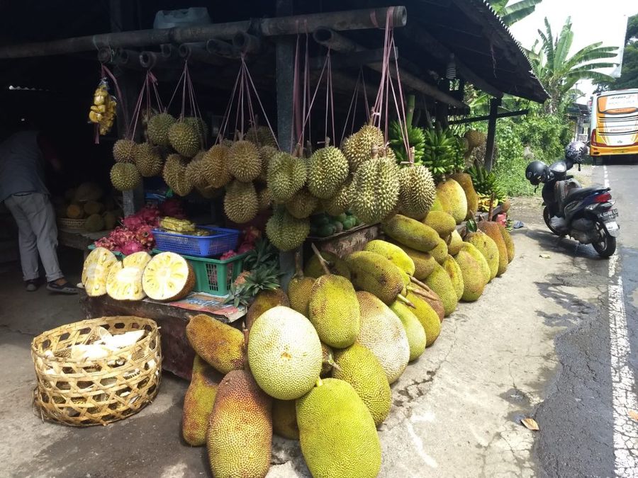 Tropické ovoce: jackfruit a durian.