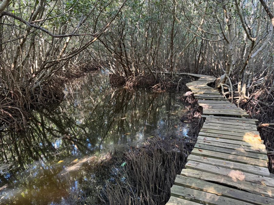 Mangroves a rybářská vesnička v severním Yucatánu, Mexiko