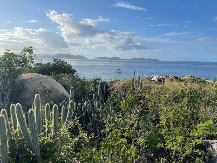 Cesta na pláž Devil's bay je lemována kaktusy a doprovázena výhledy na moře a Tortolu, Virgin Gorda.