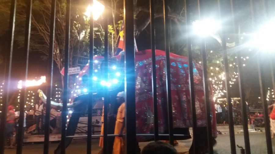 Oblečený a osvětlený slon v průvodu během festivalu v Kandy.