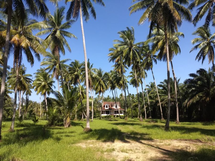 Klidný Khao Lak.