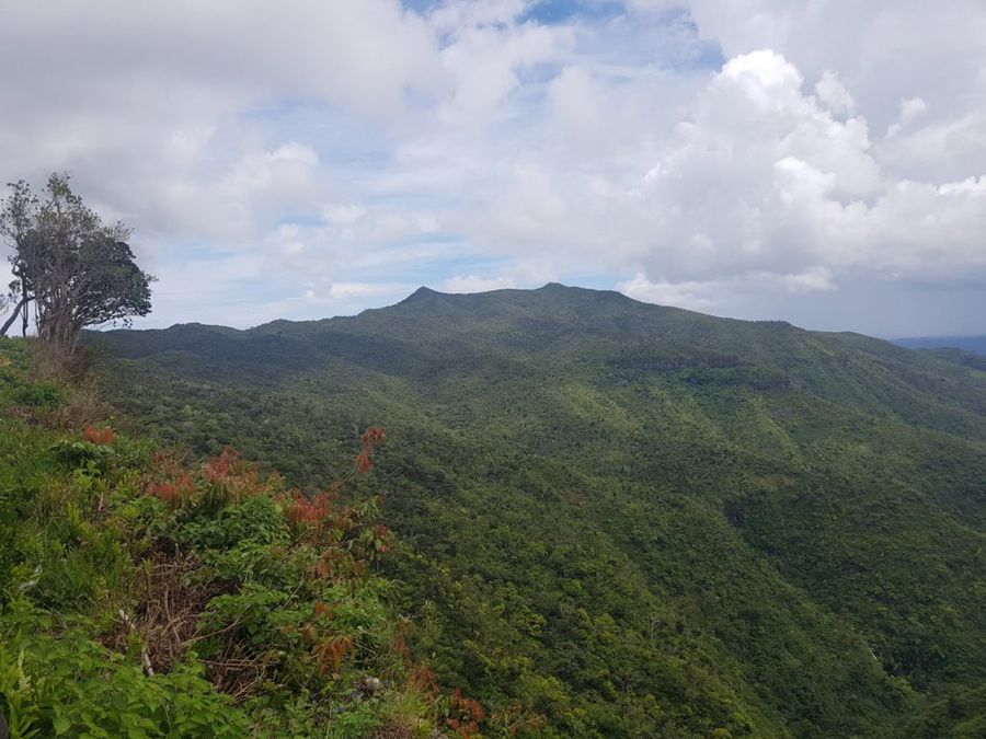Začátek treku na PITON DE LA PETITE RIVERE NOIRE s vrcholem v pozadí.