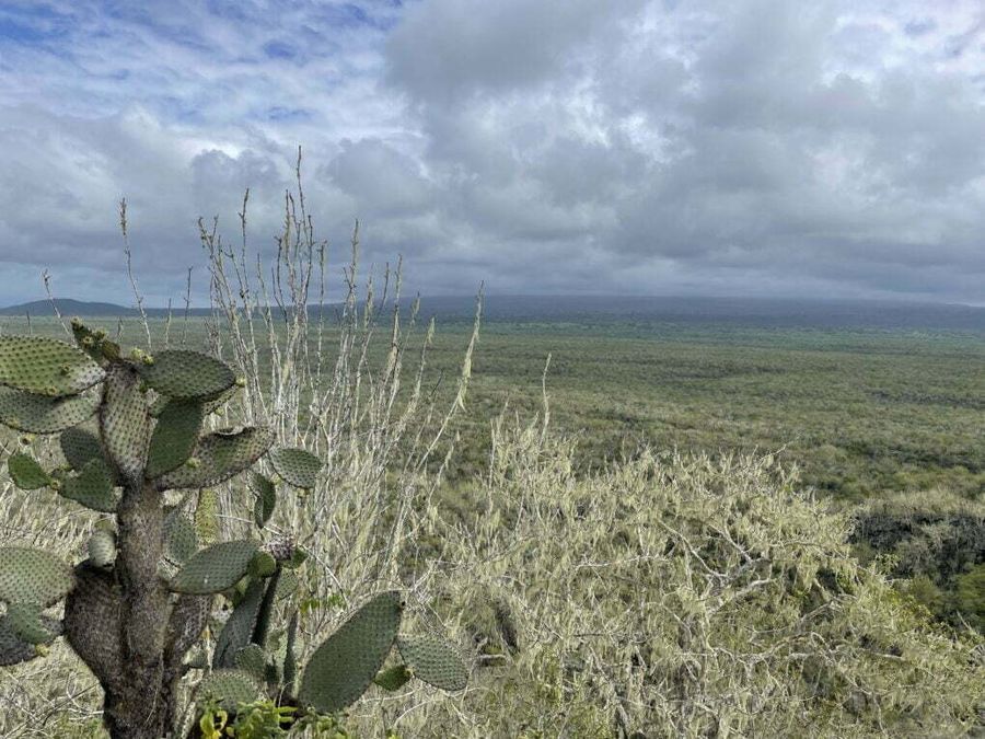 Pohled na táhlý kráter sopky Volcán Sierra Negra s vrcholem v mlze, Galapágy.