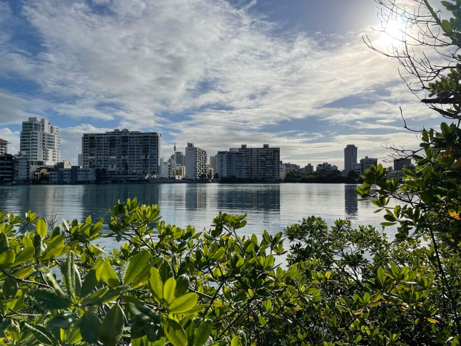 Park podél laguny del Condado v San Juan, Portoriko