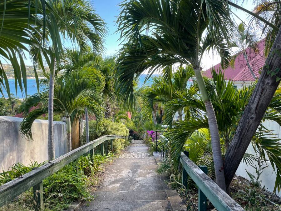 99 steps, USVI.