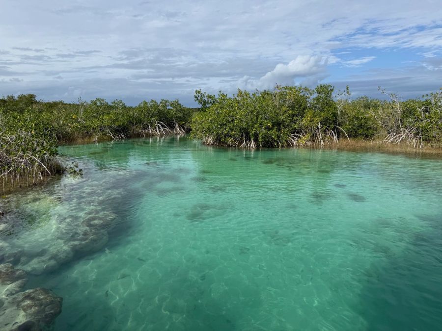 Bacalar – laguna sedmi barev, Mexiko