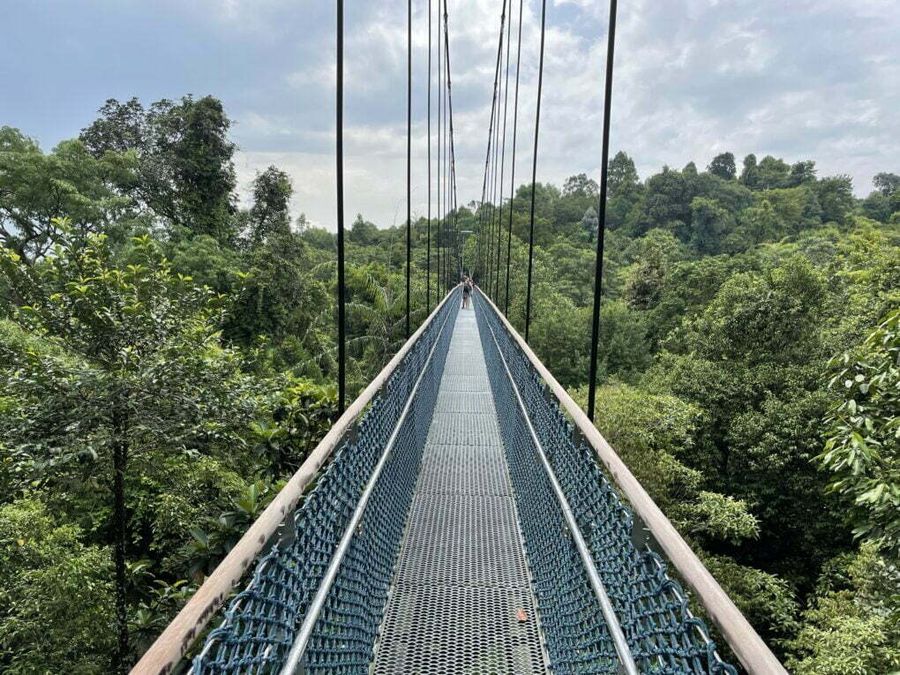 TreeTop walk, Singapur.