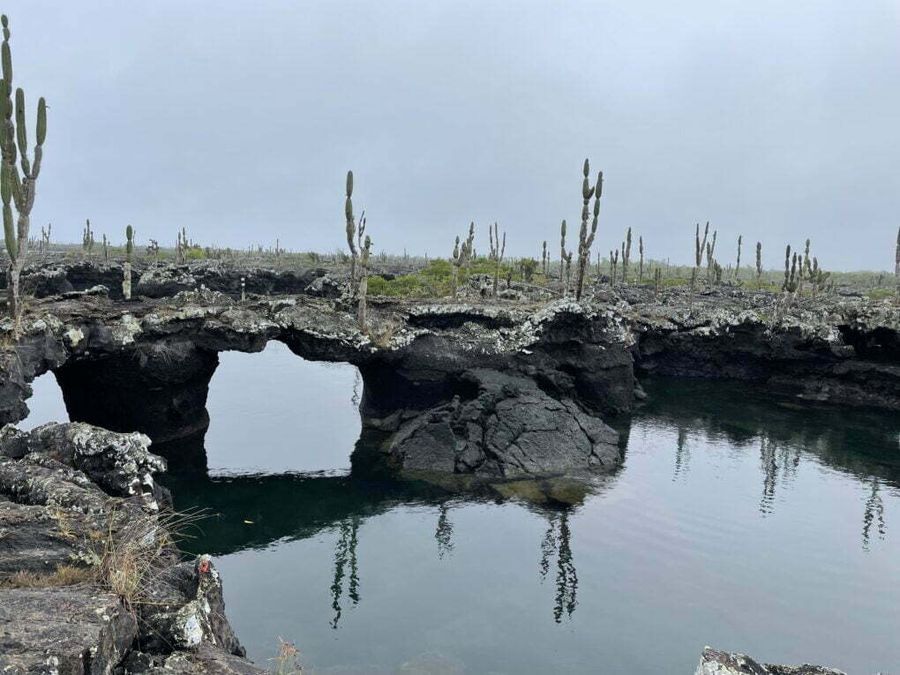 Los Tuneles, Galapágy.
