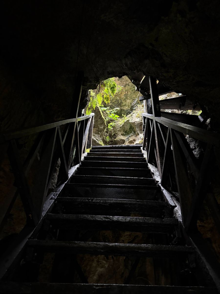 Cenote Choo-Ha – stalaktity nad vodou, u Cobá, Mexiko
