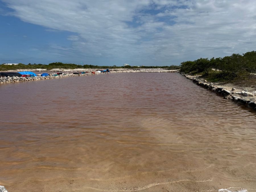 Salinas Rosas – růžové solné jezero, Yucatán, Mexiko