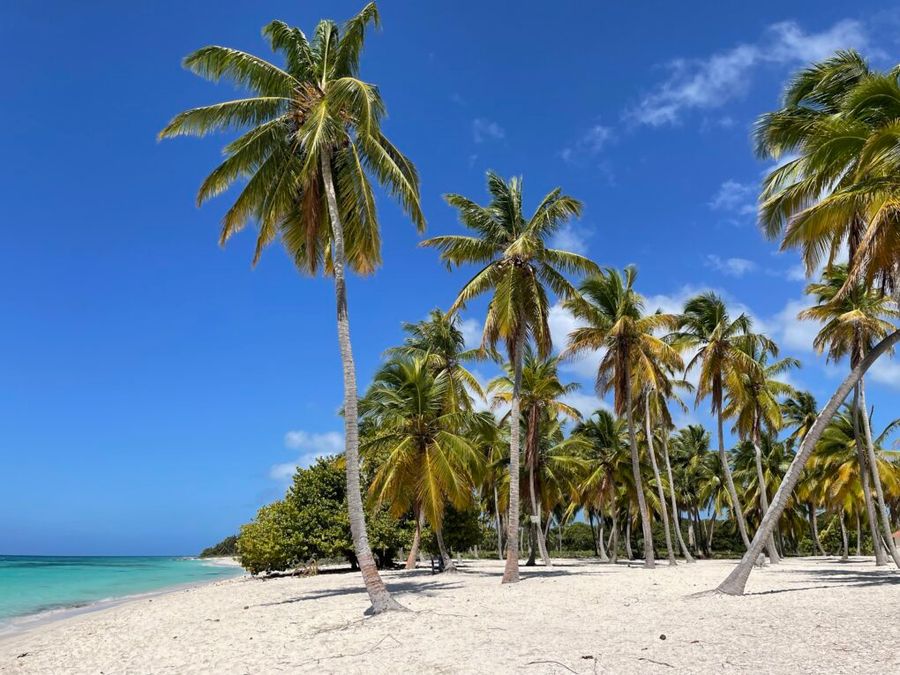 Pláž Canto, Saona.