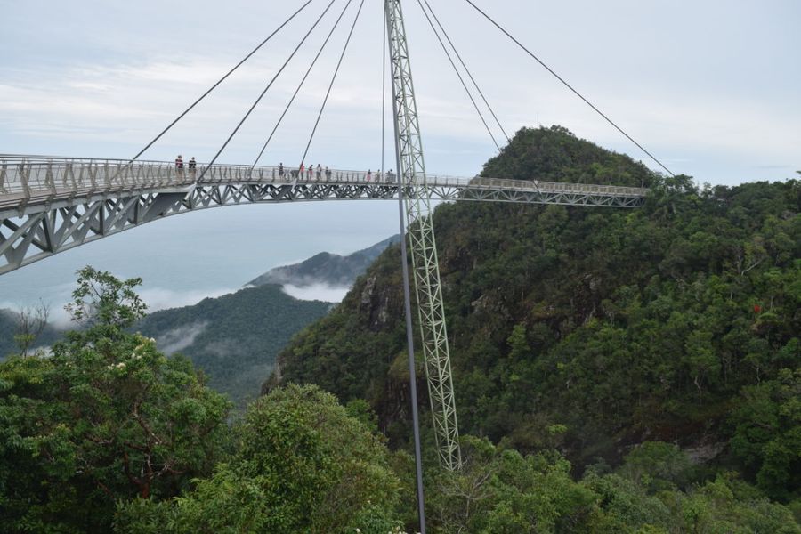 Skywalk tyčící se nad pralesem