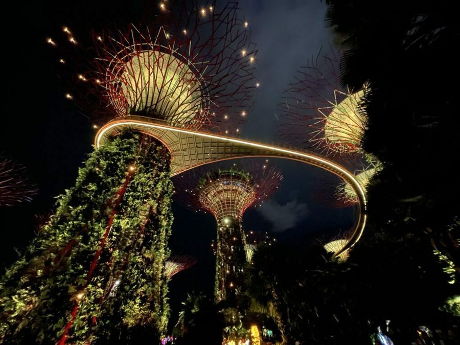 Noční Gardens by the Bay, Singapur.