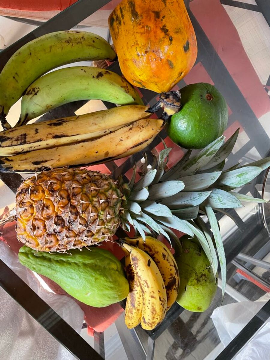 Tropické ovoce — papaya, avokádo, ananas, čajot, banány a mango.