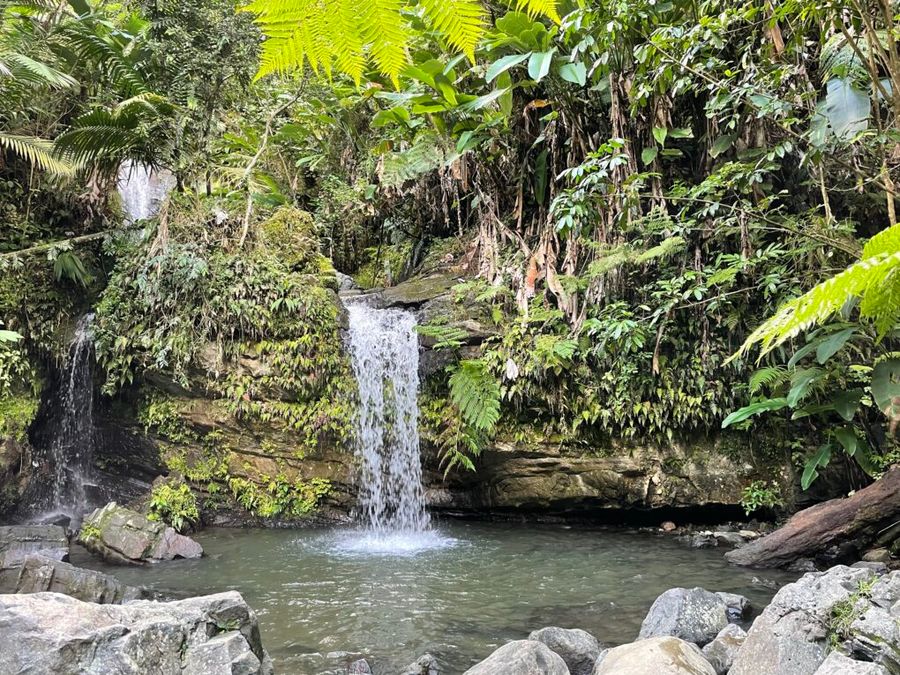 Přírodní koupání v Rio Grande u El Yunque