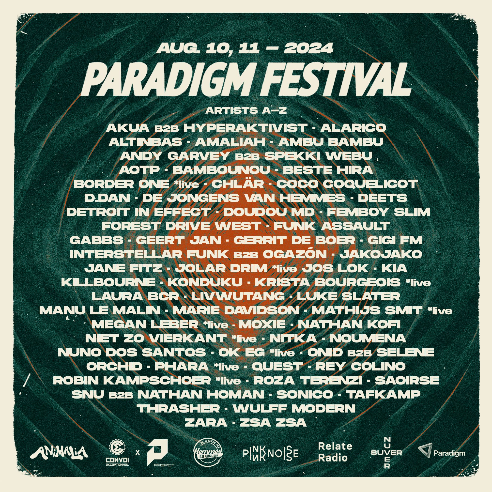 Paradigm Festival Groningen NL (Pink Noise Stage) flyer