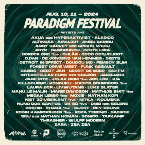 Paradigm Festival Groningen NL (Pink Noise Stage)
