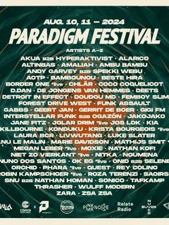Paradigm Festival Groningen NL (Pink Noise Stage) flyer