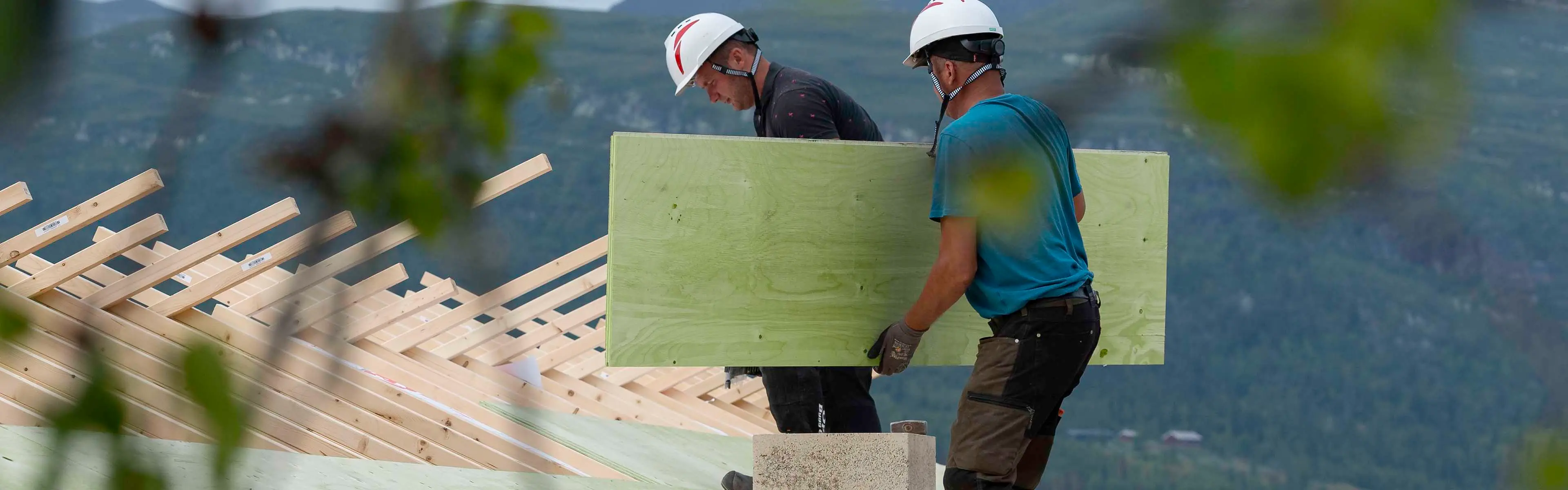 To håndverkere som går på undertak av konstruksfiner, den ene bærer en finerplate.