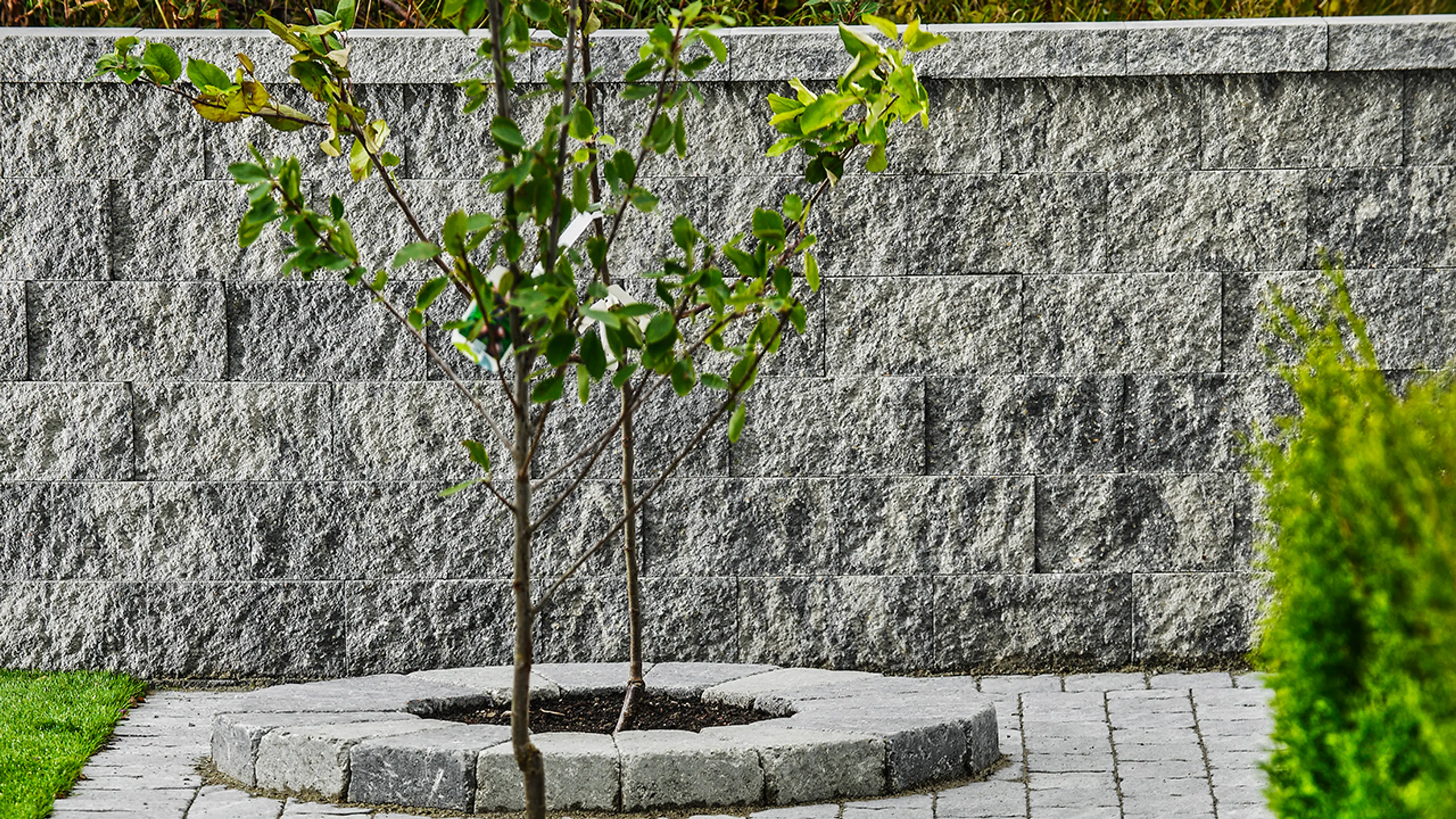 Aneto søttemur er en Multiblokk mur med strukturert overflate.