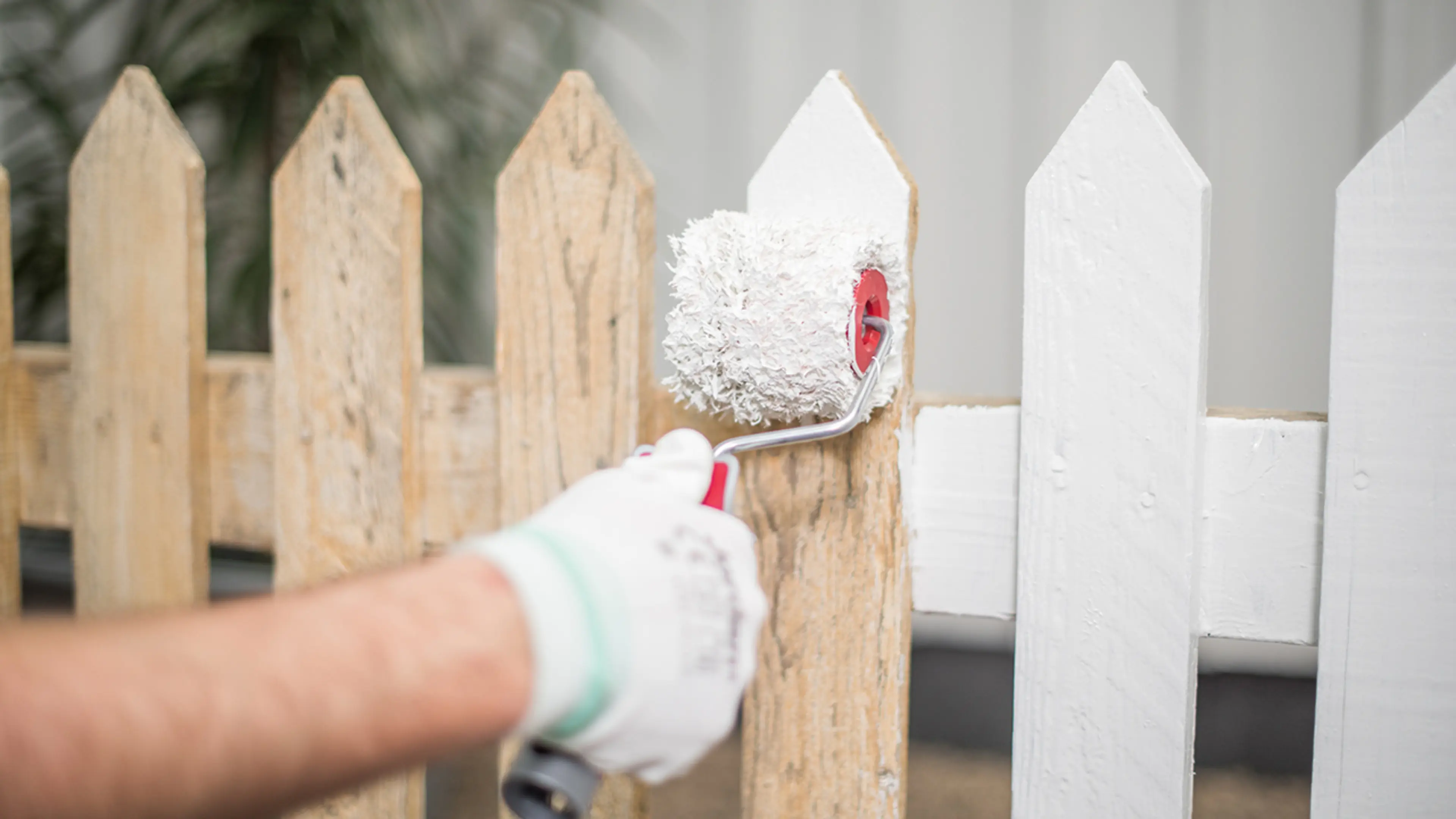 Gjerde som males hvitt.