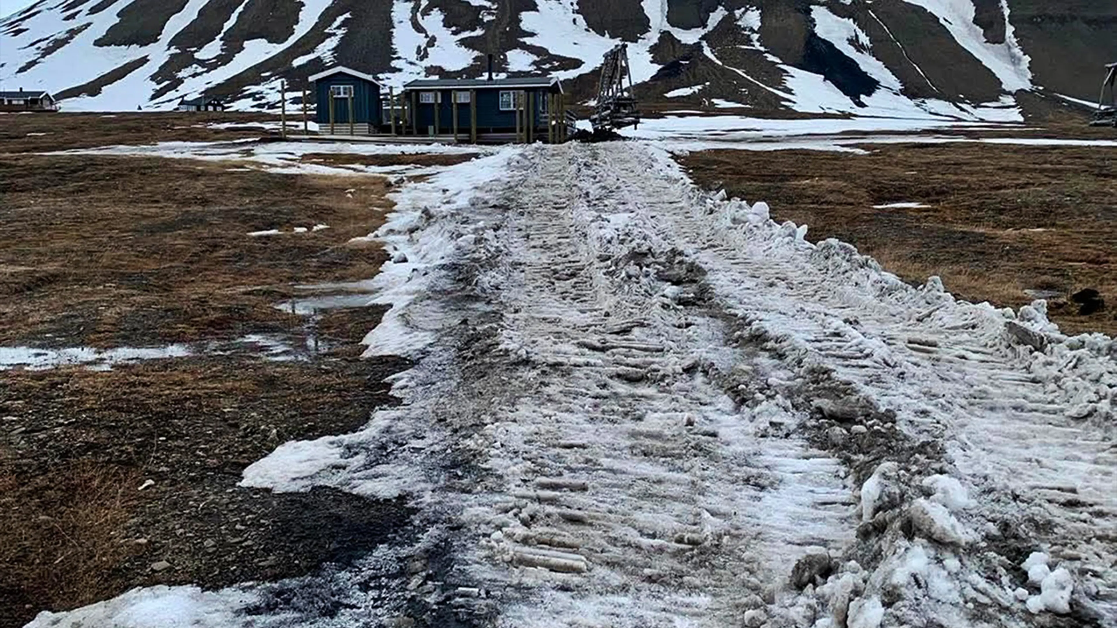 Spor med snø fra en hytte over en gressflate. 