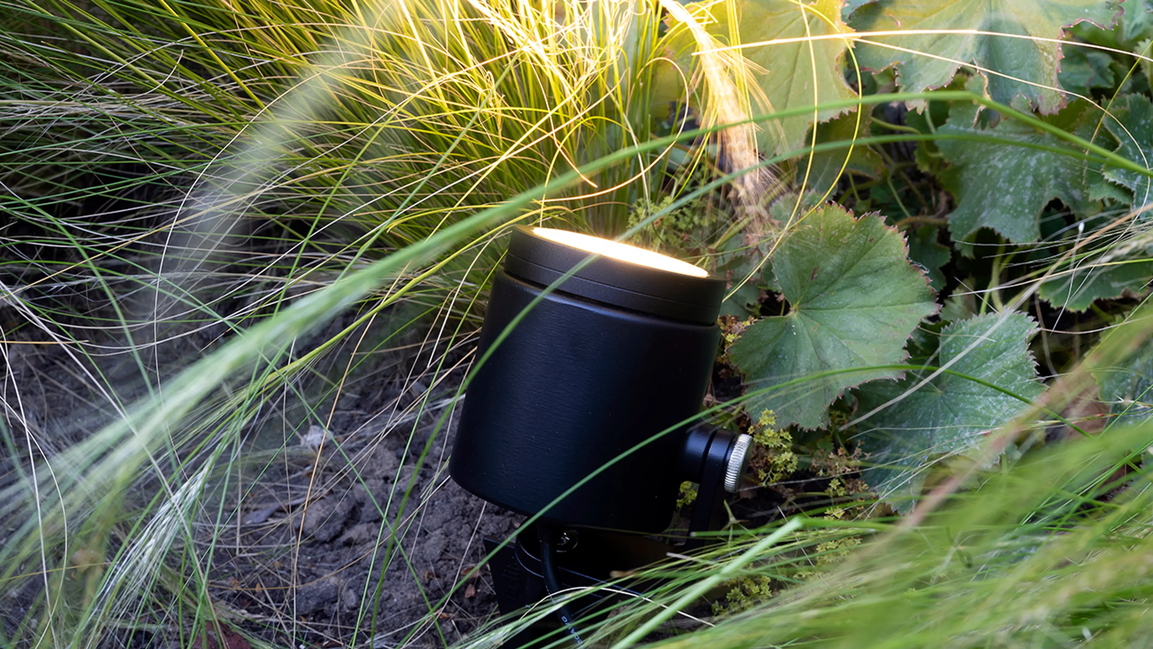 Nærbilde av spott som utendørsbelysning i blomsterbed.