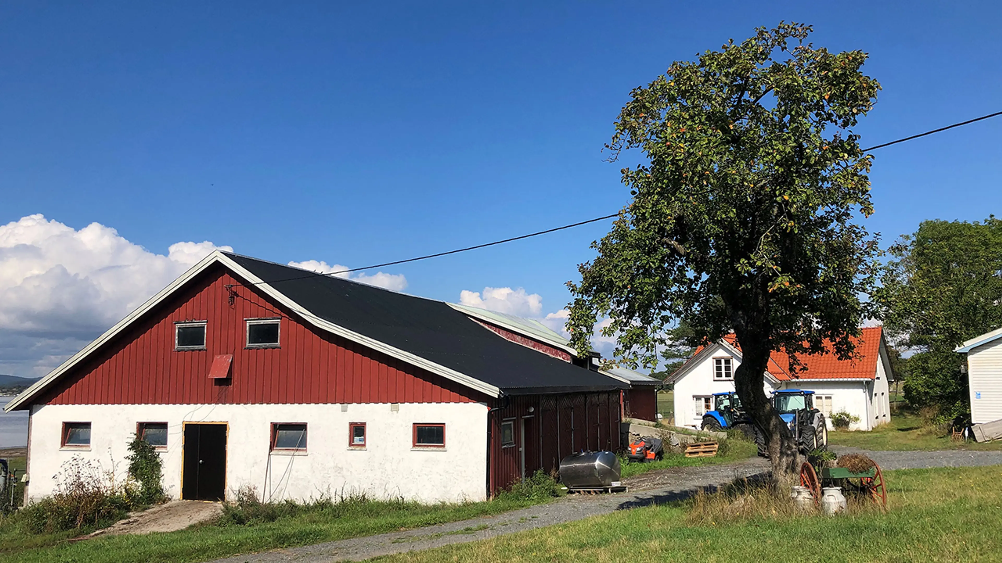 Rødt og hvitt fjøs på gårdstun på en solskinnsdag.