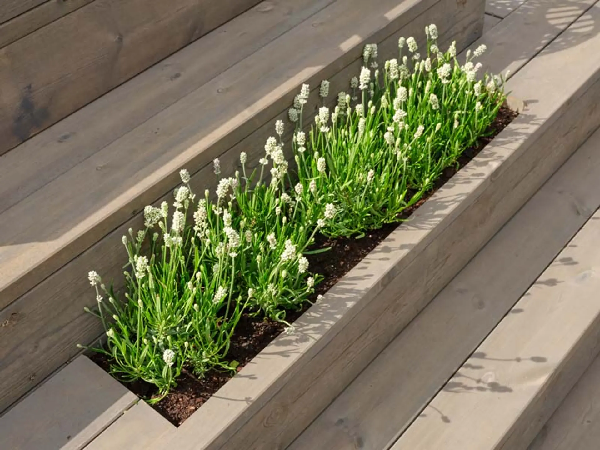 Utetrapp med innfelt blomsterbed laget med Concise terrassebord