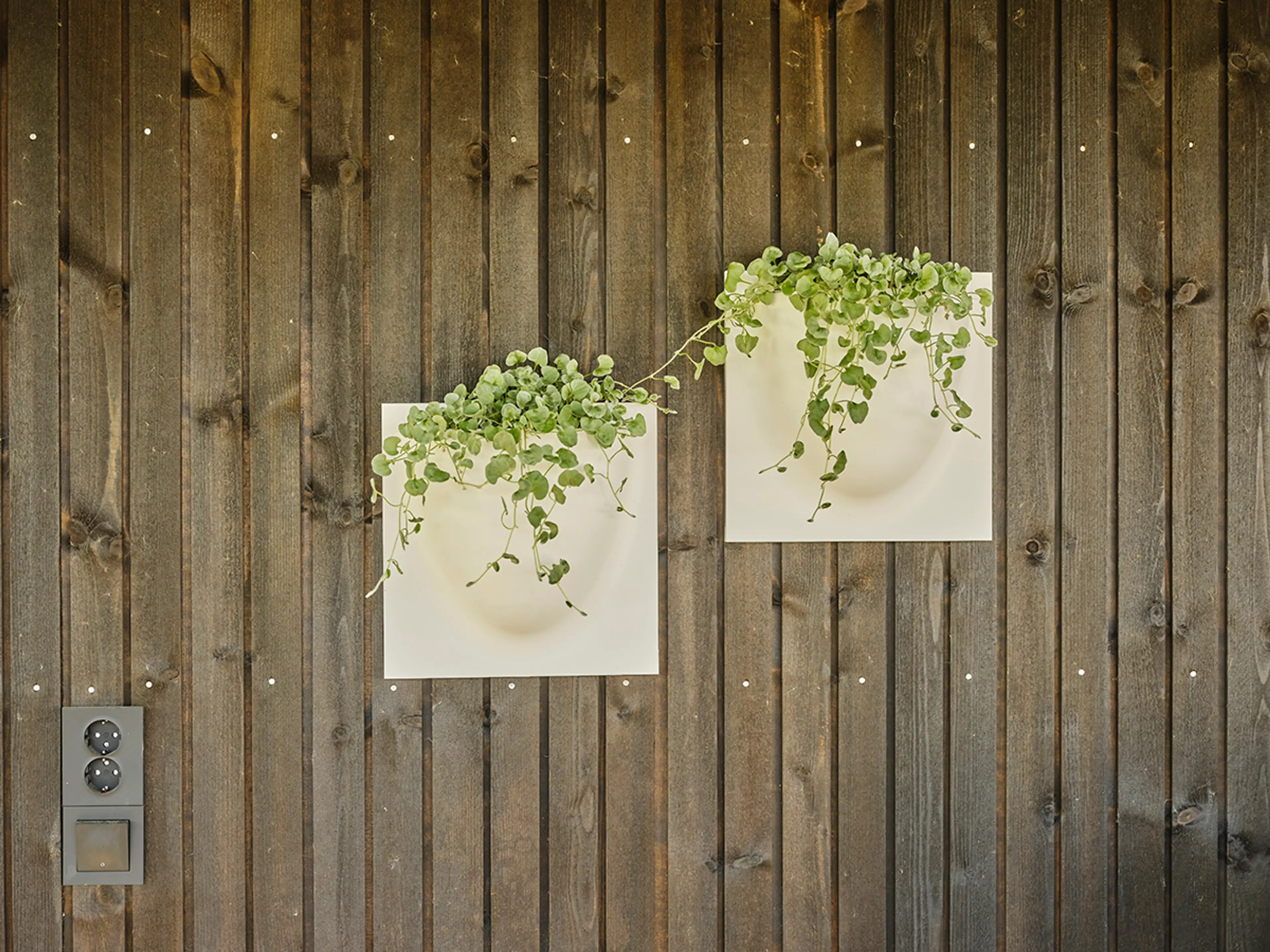 nærbilde av en husvegg med dobbelfalset kledning og blomsterpotter med grønne vekster i