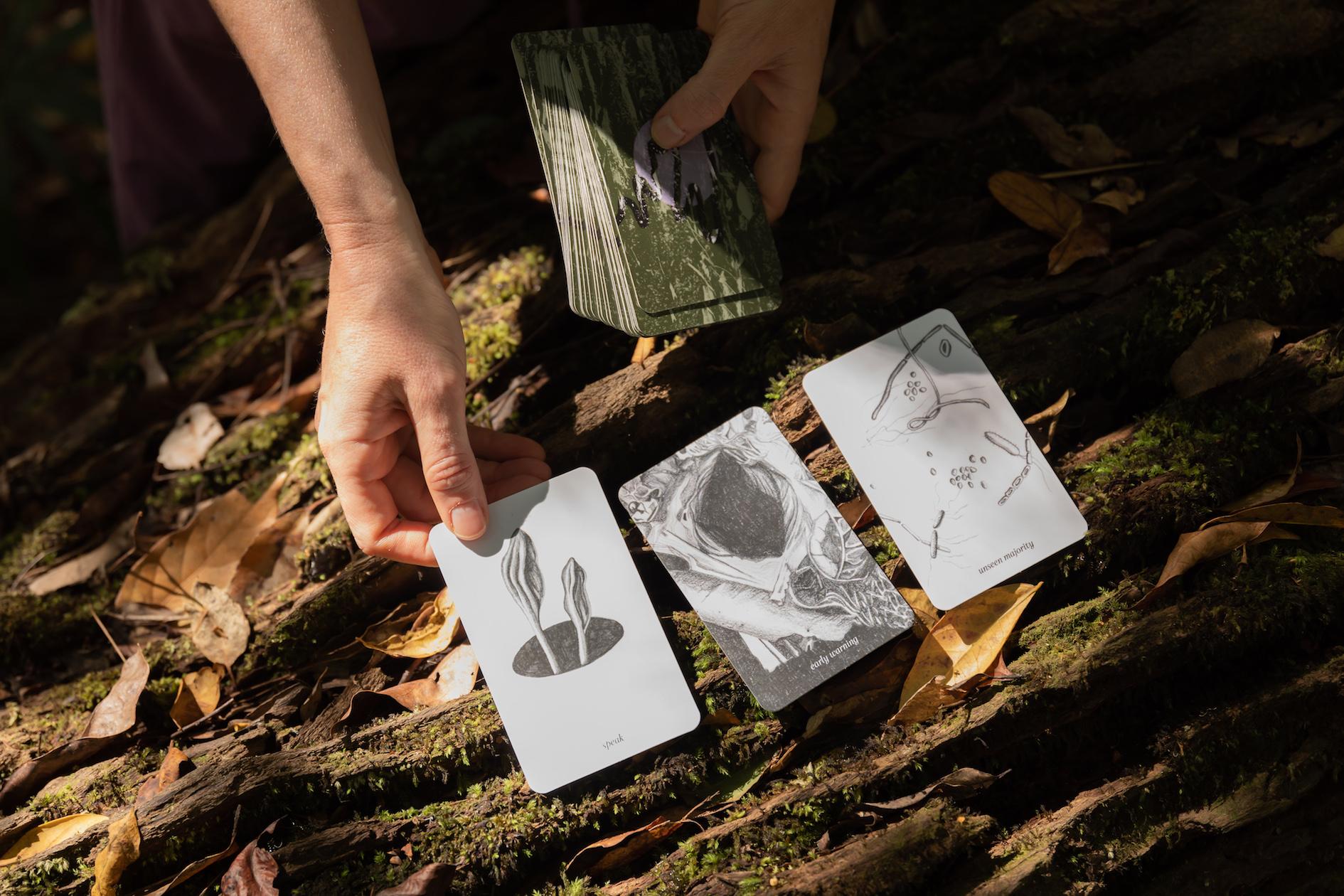 Photo of divination cards  artwork Recompose. The image is cropped to show two hands – one holding deck of cards and the other placing a card down on a mossy tree log covered in autumn leaves next to two other cards. The cards have botanical-like illustration artworks on them in greyscale.