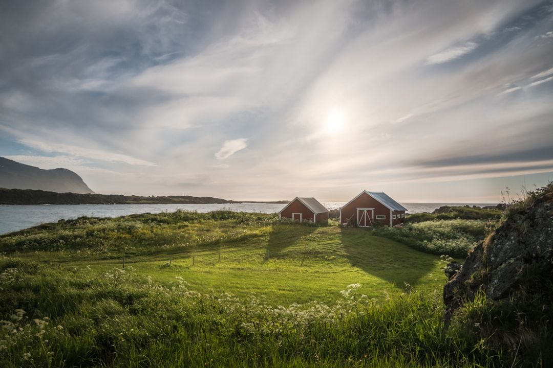 Naturbilde med to røde små hus på en grønn eng, med fjord og fjell i bakgrunnen.