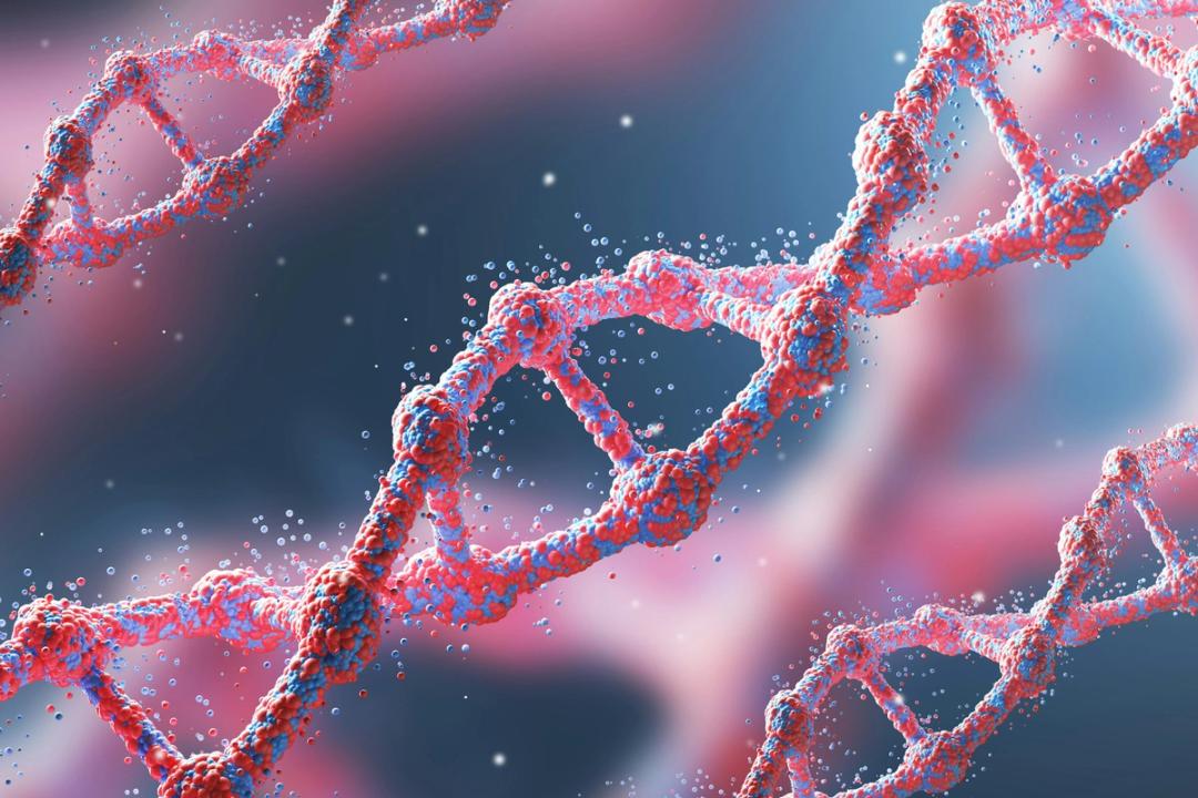Nærbilde av DNA-molekyl, som du lærer om i genetikk i Biologi 1.