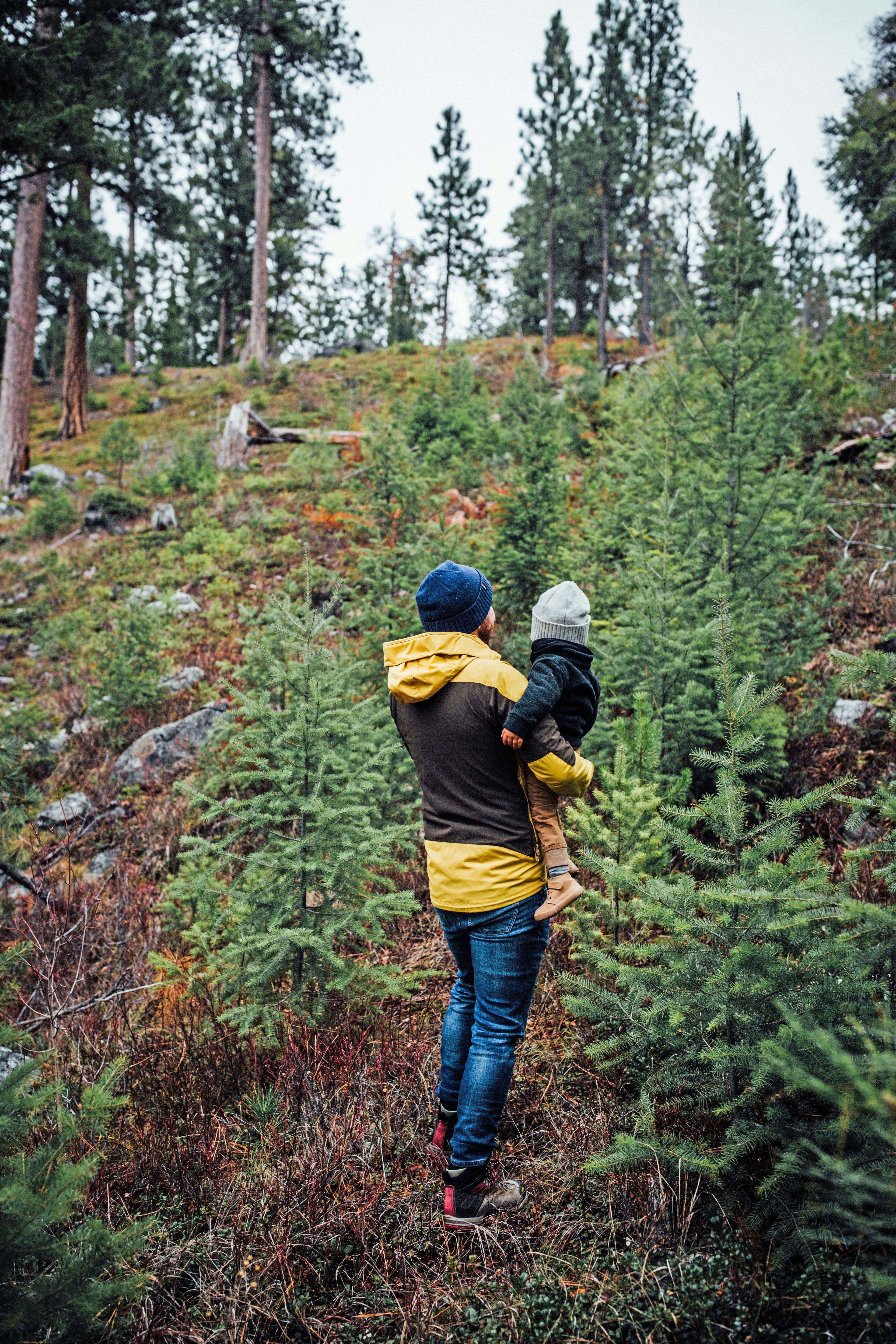 Voksen og barn i skogen - illustrerer livsfaser og sosial tilhørighet i faget Sosialkunnskap.
