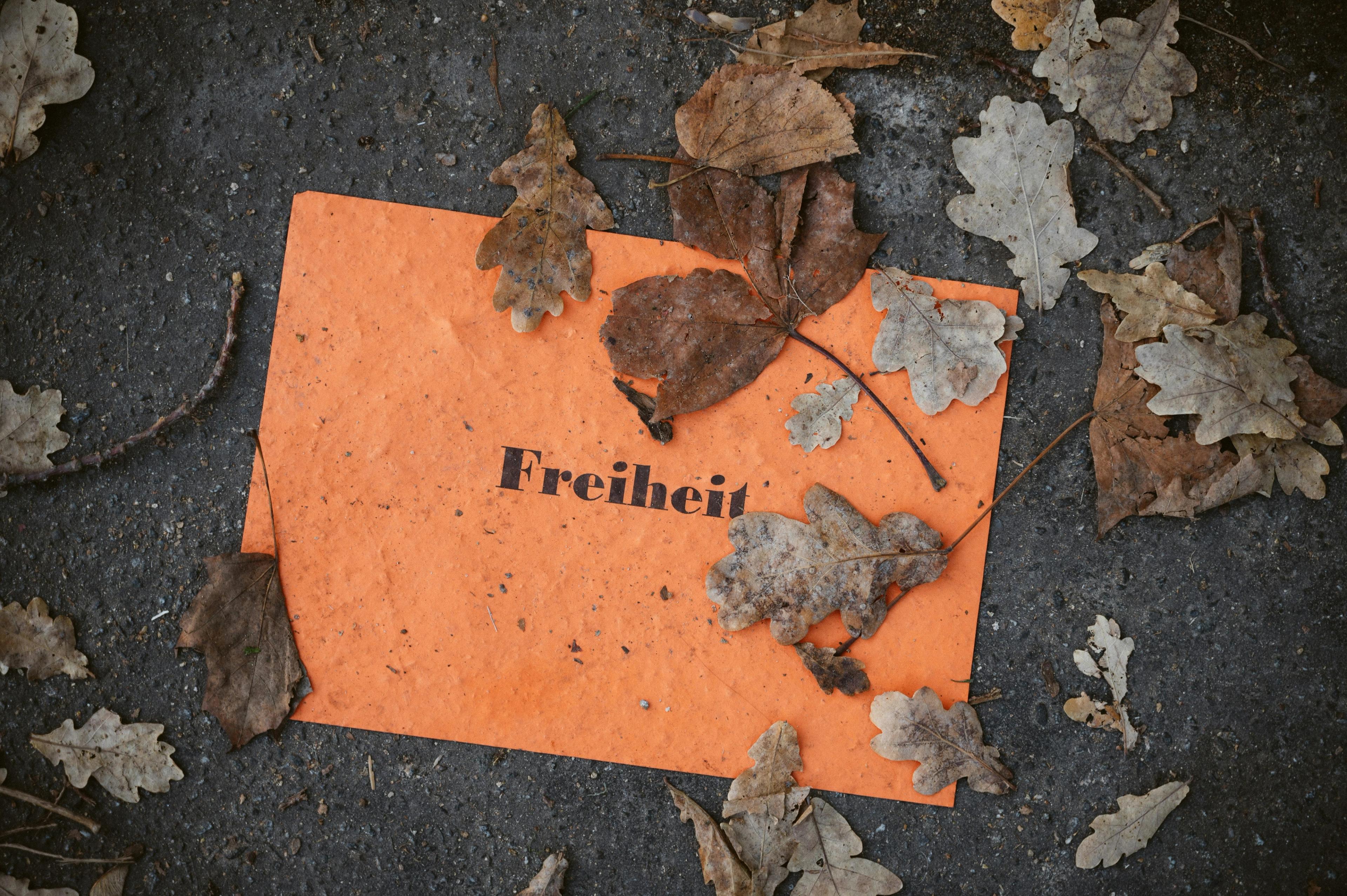 Oransje ark med teksten "Freiheit", kulturforståelse og språk er en viktig del av undervisningen i Tysk II fellesfag.