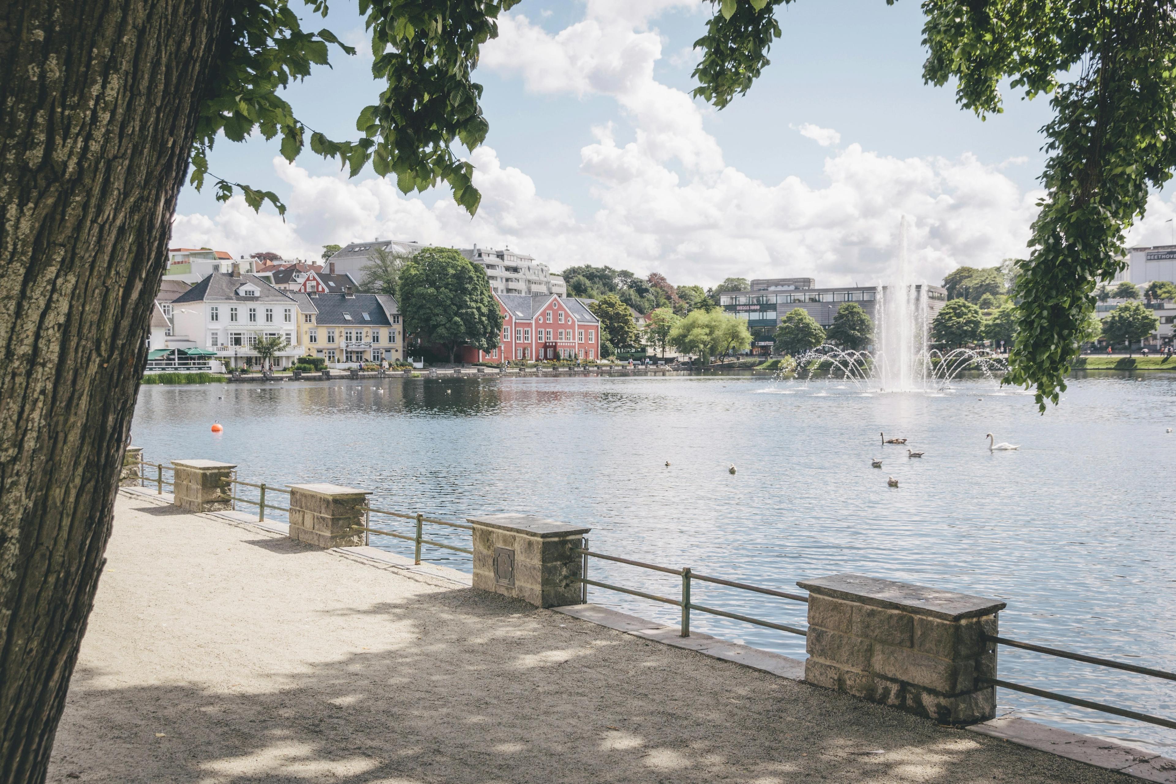 Stavanger sentrum med vann, fontene, svaner og fargerike hus under blå himmel.