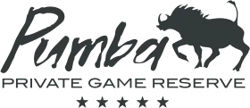 Pumba Logo