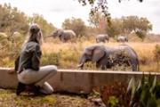 Klaserie Drift Safari Camps Customer Story - Springnest Website Design for Safari Lodges