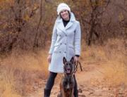 HolidayDOG Springnest Customer Story