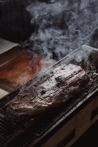 Wild venison steak