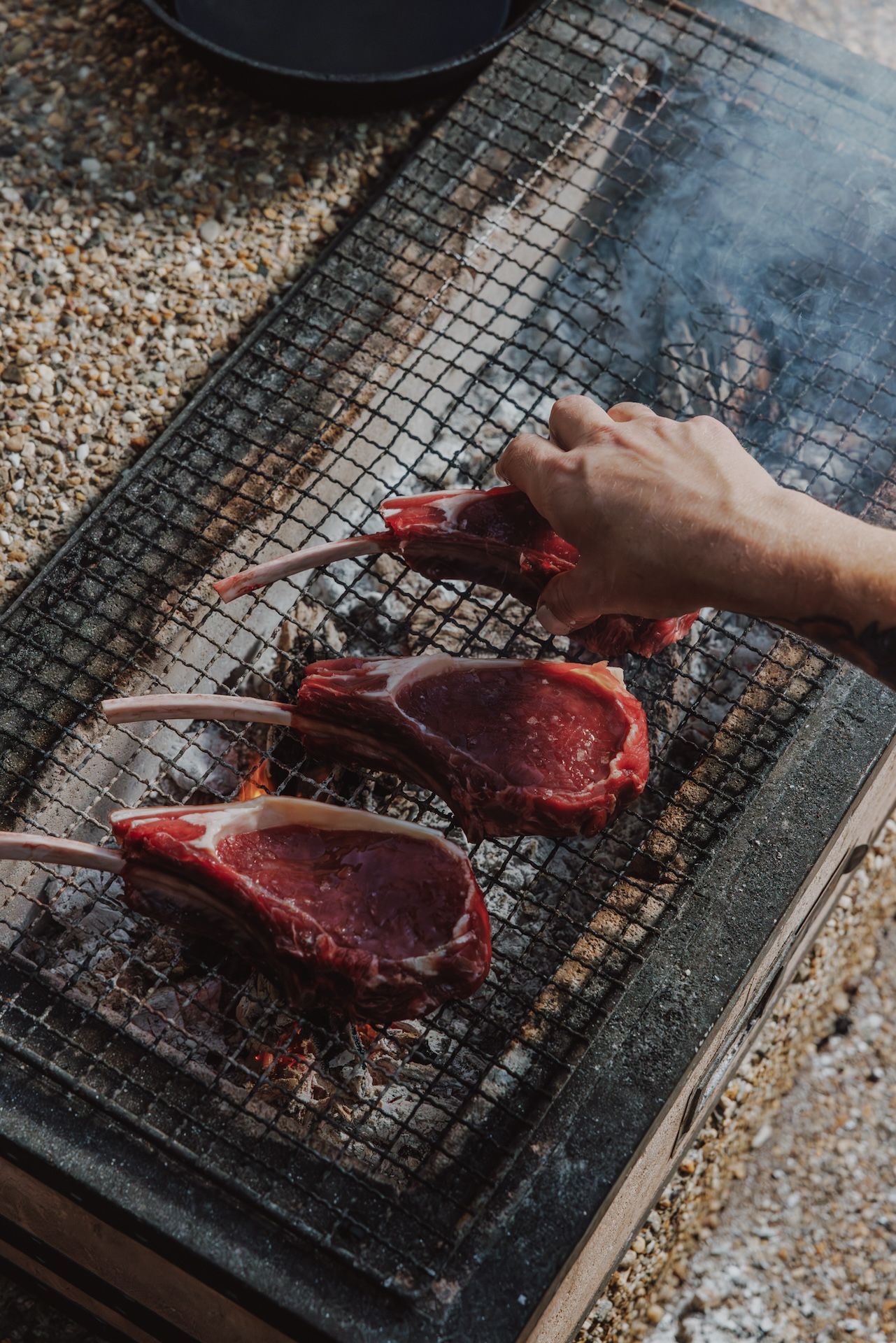 Wild Venison Backstrap (3 Point Rack)