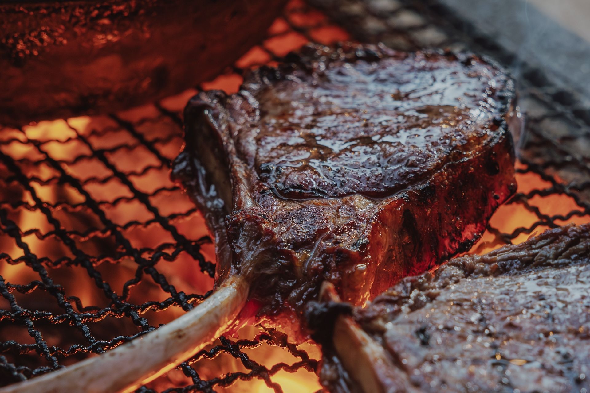 Wild Venison Backstrap (3 Point Rack)