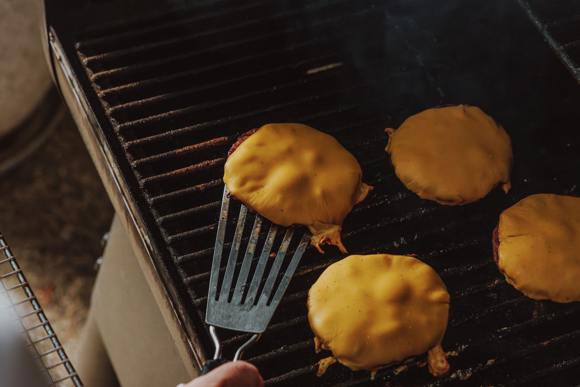 Wild Venison Burger Patties