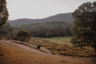 Landscape photo of Nariel Valley property with rolling hills and forest in background