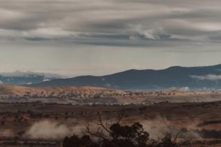 Mansfield High Country Bush