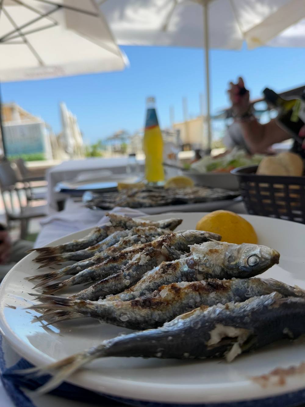 Restaurante José Cerdán