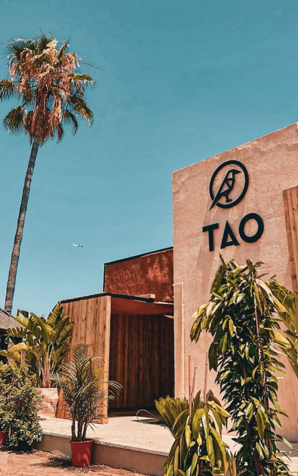 Tao Club de Playa